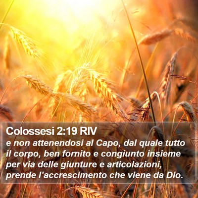 Colossesi 2:19 RIV Bible Verse Image