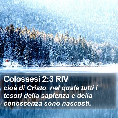 Colossesi 2:3 RIV Bible Verse Image