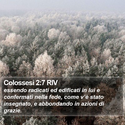 Colossesi 2:7 RIV Bible Verse Image