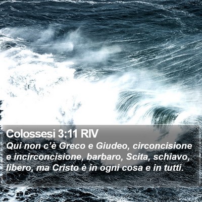 Colossesi 3:11 RIV Bible Verse Image
