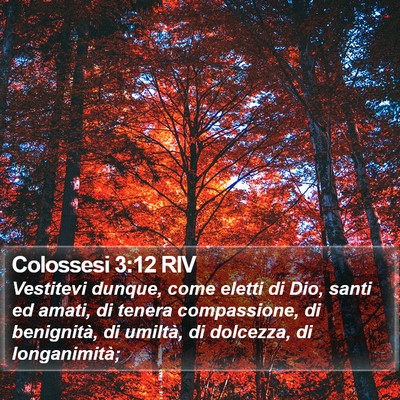 Colossesi 3:12 RIV Bible Verse Image