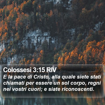 Colossesi 3:15 RIV Bible Verse Image