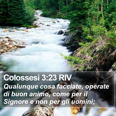 Colossesi 3:23 RIV Bible Verse Image