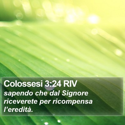 Colossesi 3:24 RIV Bible Verse Image