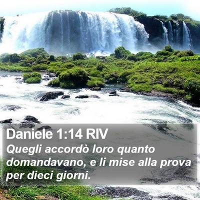 Daniele 1:14 RIV Bible Verse Image