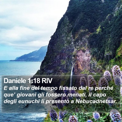 Daniele 1:18 RIV Bible Verse Image
