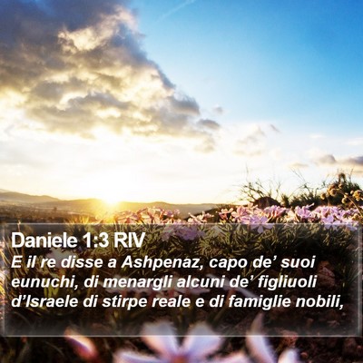Daniele 1:3 RIV Bible Verse Image