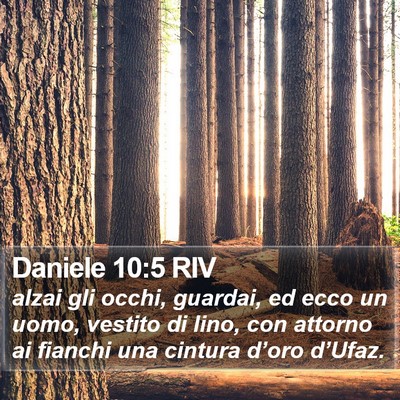 Daniele 10:5 RIV Bible Verse Image