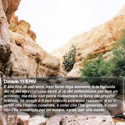 Daniele 11:6 RIV Bible Verse Image