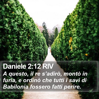 Daniele 2:12 RIV Bible Verse Image