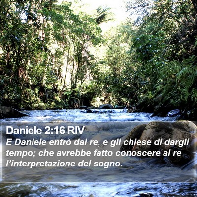 Daniele 2:16 RIV Bible Verse Image