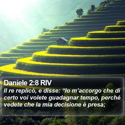 Daniele 2:8 RIV Bible Verse Image