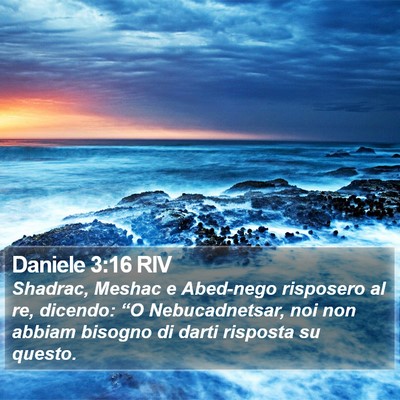 Daniele 3:16 RIV Bible Verse Image