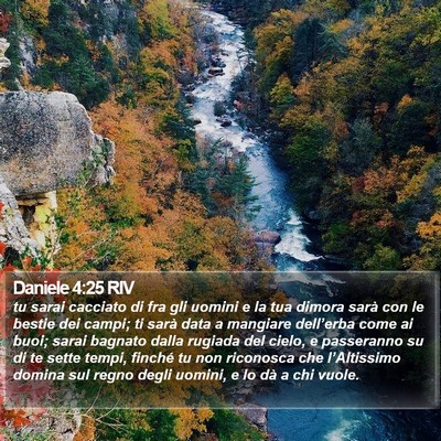 Daniele 4:25 RIV Bible Verse Image