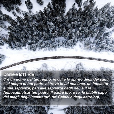 Daniele 5:11 RIV Bible Verse Image