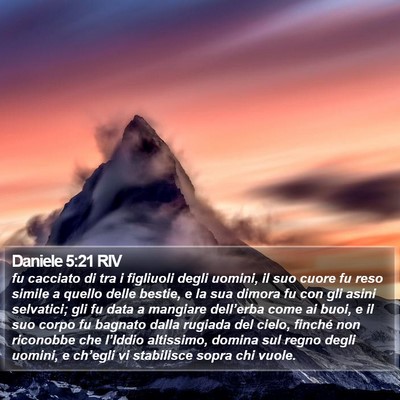 Daniele 5:21 RIV Bible Verse Image