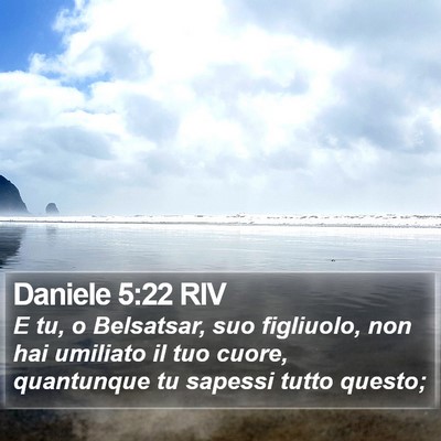 Daniele 5:22 RIV Bible Verse Image