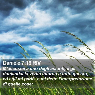 Daniele 7:16 RIV Bible Verse Image