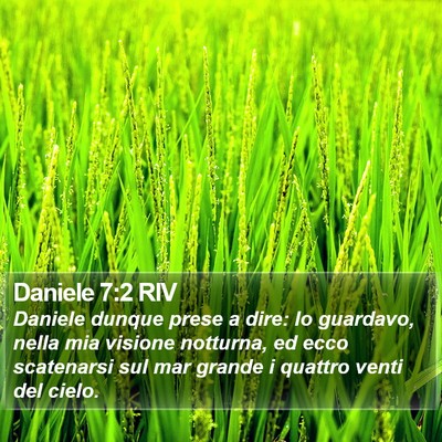 Daniele 7:2 RIV Bible Verse Image