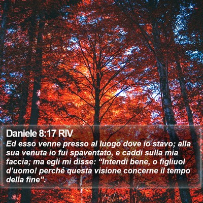 Daniele 8:17 RIV Bible Verse Image