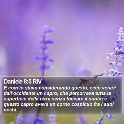 Daniele 8:5 RIV Bible Verse Image