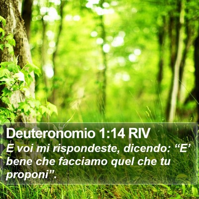 Deuteronomio 1:14 RIV Bible Verse Image