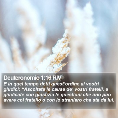 Deuteronomio 1:16 RIV Bible Verse Image