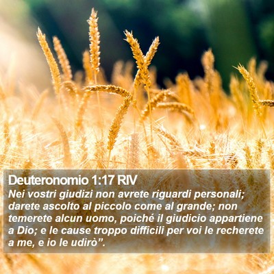 Deuteronomio 1:17 RIV Bible Verse Image