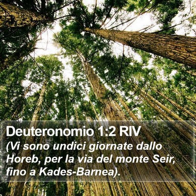 Deuteronomio 1:2 RIV Bible Verse Image
