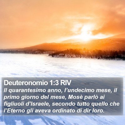 Deuteronomio 1:3 RIV Bible Verse Image