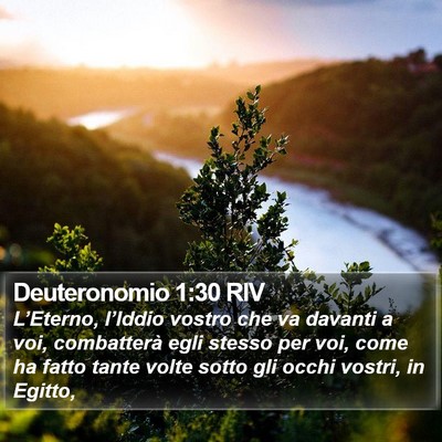 Deuteronomio 1:30 RIV Bible Verse Image