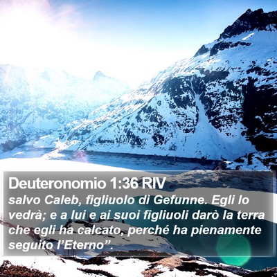 Deuteronomio 1:36 RIV Bible Verse Image