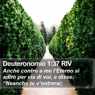 Deuteronomio 1:37 RIV Bible Verse Image