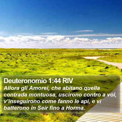 Deuteronomio 1:44 RIV Bible Verse Image