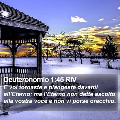 Deuteronomio 1:45 RIV Bible Verse Image
