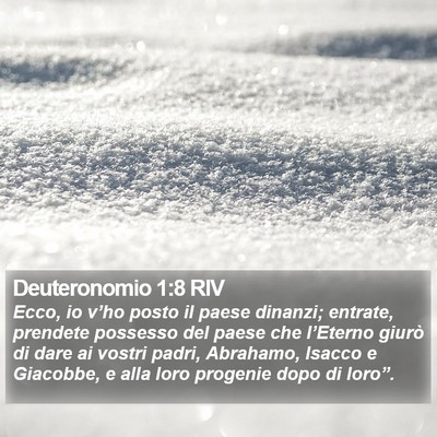 Deuteronomio 1:8 RIV Bible Verse Image