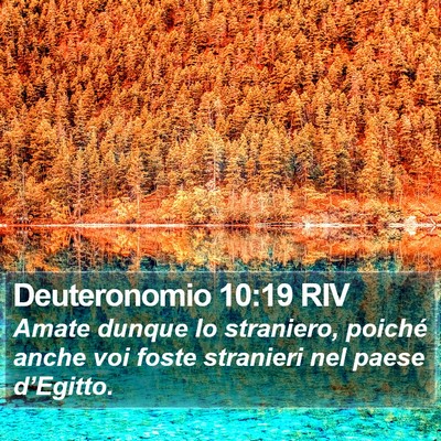Deuteronomio 10:19 RIV Bible Verse Image