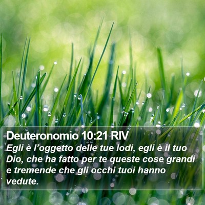 Deuteronomio 10:21 RIV Bible Verse Image