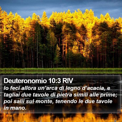Deuteronomio 10:3 RIV Bible Verse Image