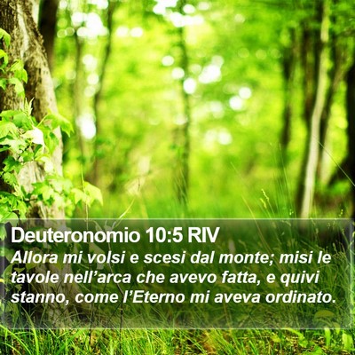 Deuteronomio 10:5 RIV Bible Verse Image