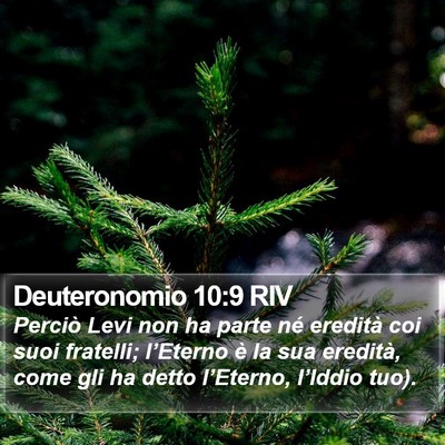 Deuteronomio 10:9 RIV Bible Verse Image