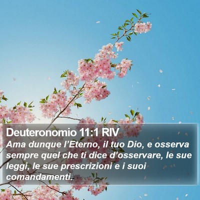Deuteronomio 11:1 RIV Bible Verse Image