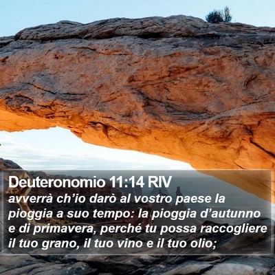 Deuteronomio 11:14 RIV Bible Verse Image