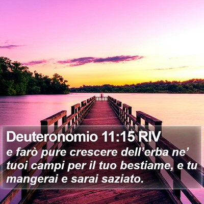 Deuteronomio 11:15 RIV Bible Verse Image