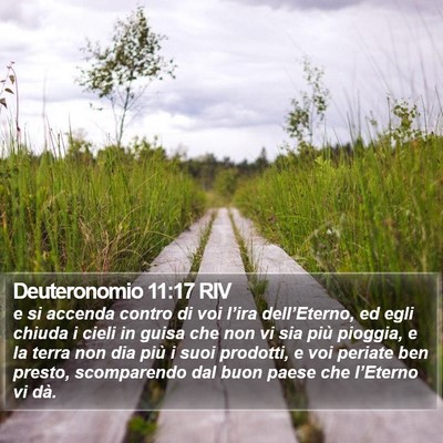 Deuteronomio 11:17 RIV Bible Verse Image