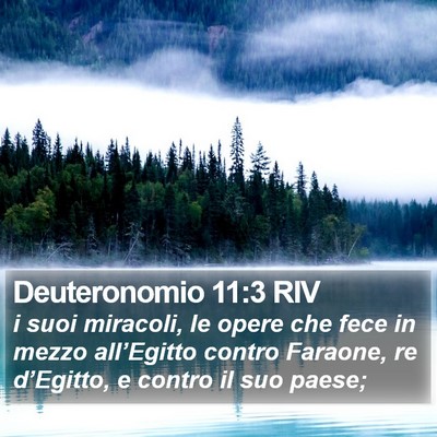 Deuteronomio 11:3 RIV Bible Verse Image