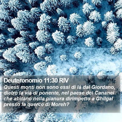 Deuteronomio 11:30 RIV Bible Verse Image