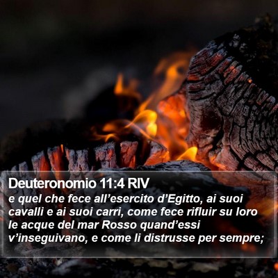 Deuteronomio 11:4 RIV Bible Verse Image