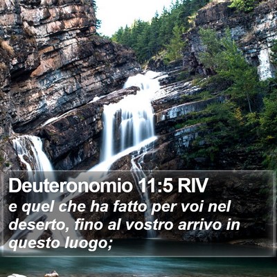 Deuteronomio 11:5 RIV Bible Verse Image