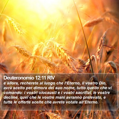 Deuteronomio 12:11 RIV Bible Verse Image